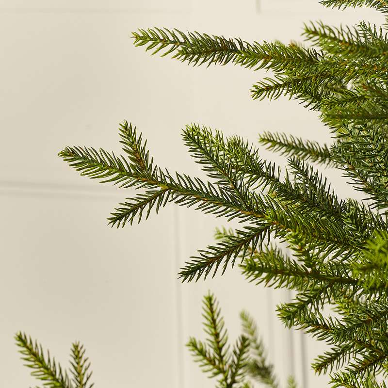 Englemanns Spruce 6ft Artificial Christmas Tree