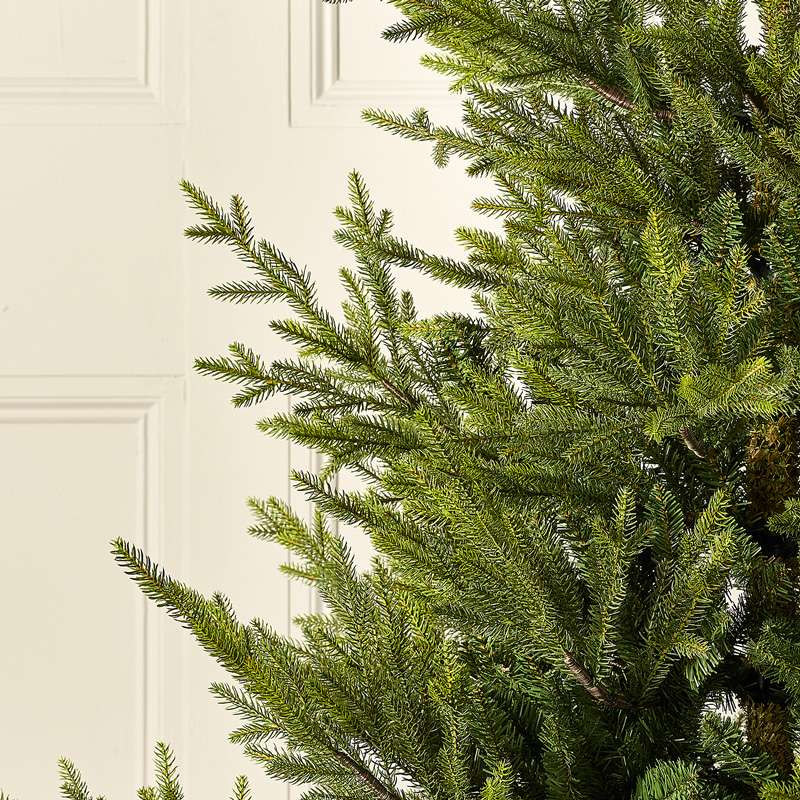 Englemanns Spruce 6ft Artificial Christmas Tree
