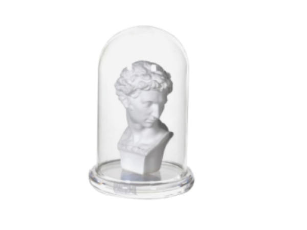 Bust in Glass Cloche