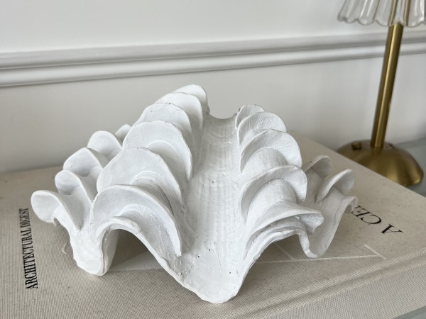 22.5cm White Shell Decoration