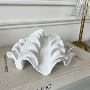 22.5cm White Shell Decoration